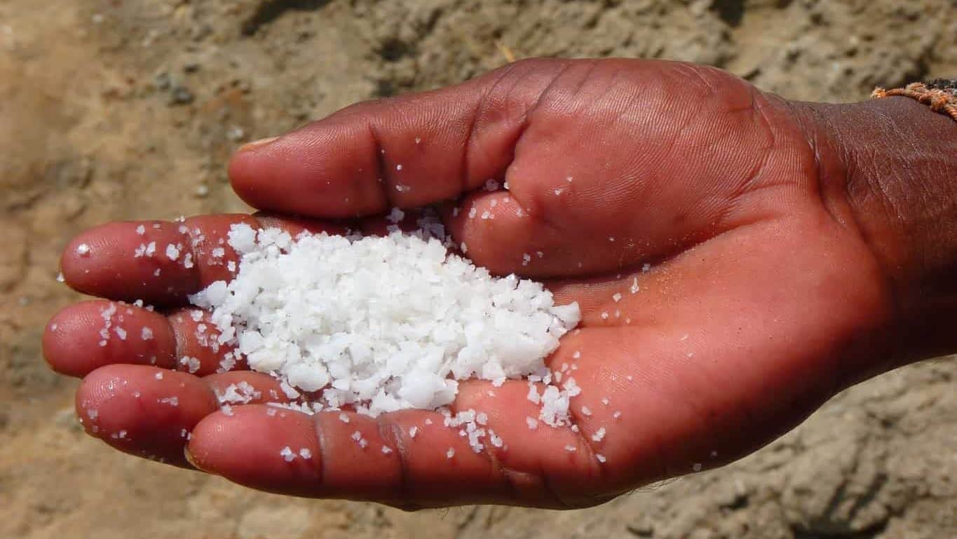 The History of Salt in Ancient Civilizations 3