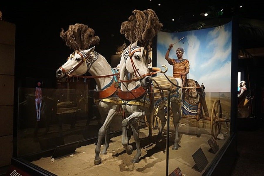 Tutankhamun Driving a Chariot