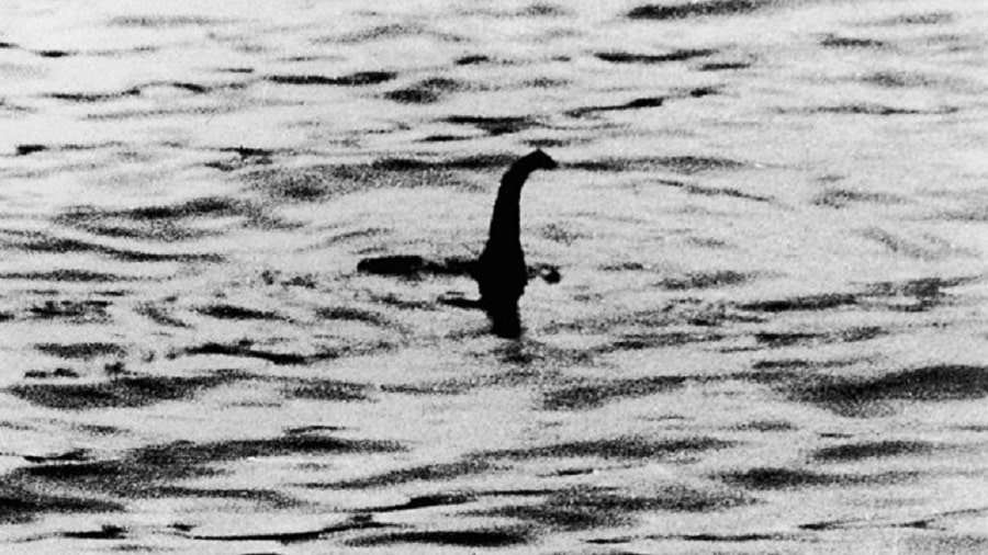 a-photo-of-the-loch-ness-creature