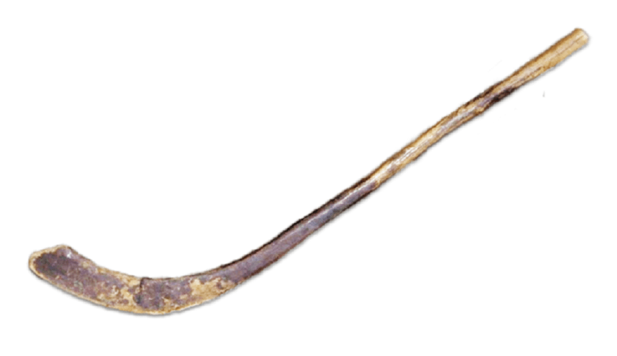 hockey-stick