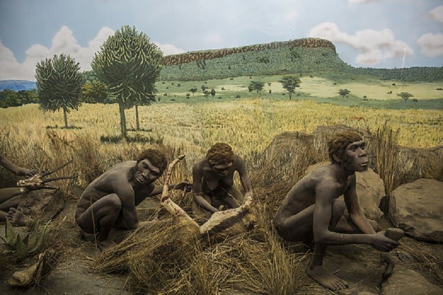 prehistory-early-humans
