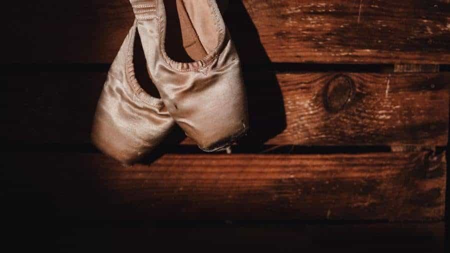 The Pointe Shoe, A History 4