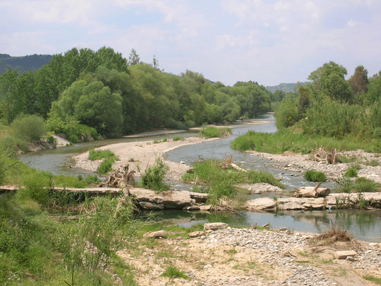 Eurotas river
