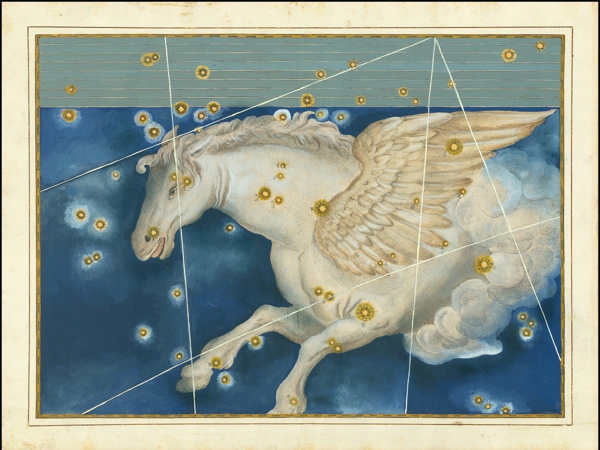 Pegasus appreciation post. These beys have an interesting history