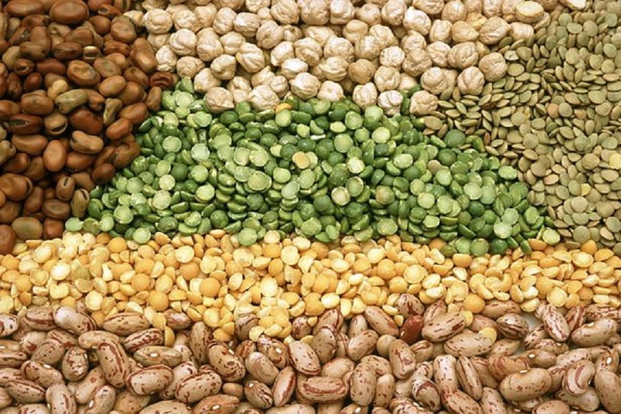 Legumes