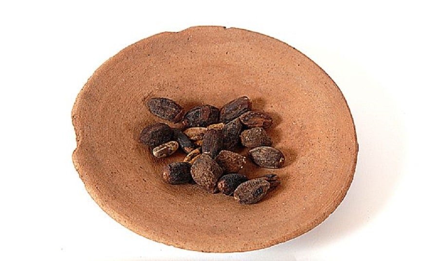 ancient-egyptian-fruits