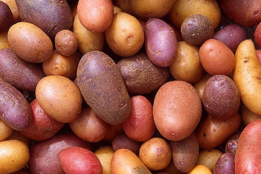 potatoes